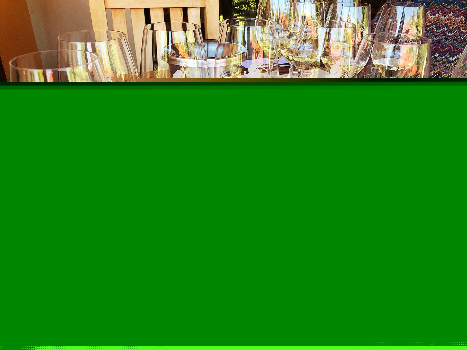 Tuscan Vineyard Wine Tasting & Harvest Tour event artwork